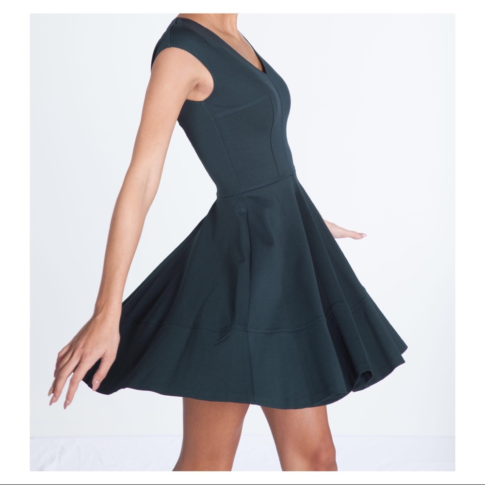 Fit and Flare Skater Dress - Picture 5 of 7